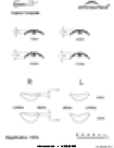PF Wave Template
