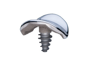 knee joint