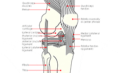 knee alignment problems